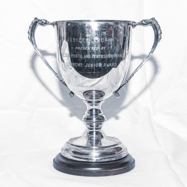 Queen's Jubilee Cup