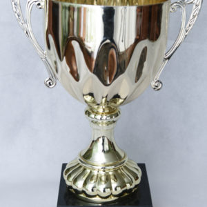 Perth and District Pipe Band Trophy